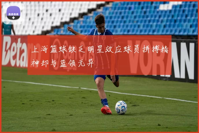 上海篮球缺乏明星效应球员拼搏精神却与蓝领无异