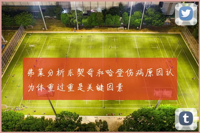弗莱分析东契奇和哈登伤病原因认为体重过重是关键因素